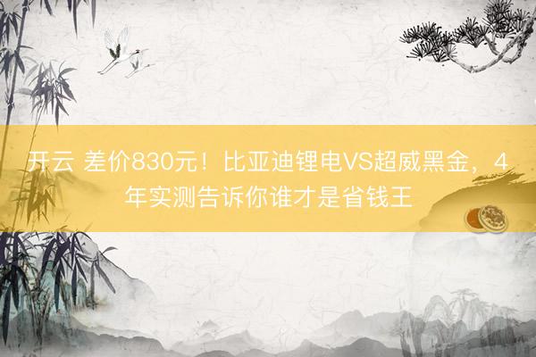 开云 差价830元！比亚迪锂电VS超威黑金，4年实测告诉你谁才是省钱王